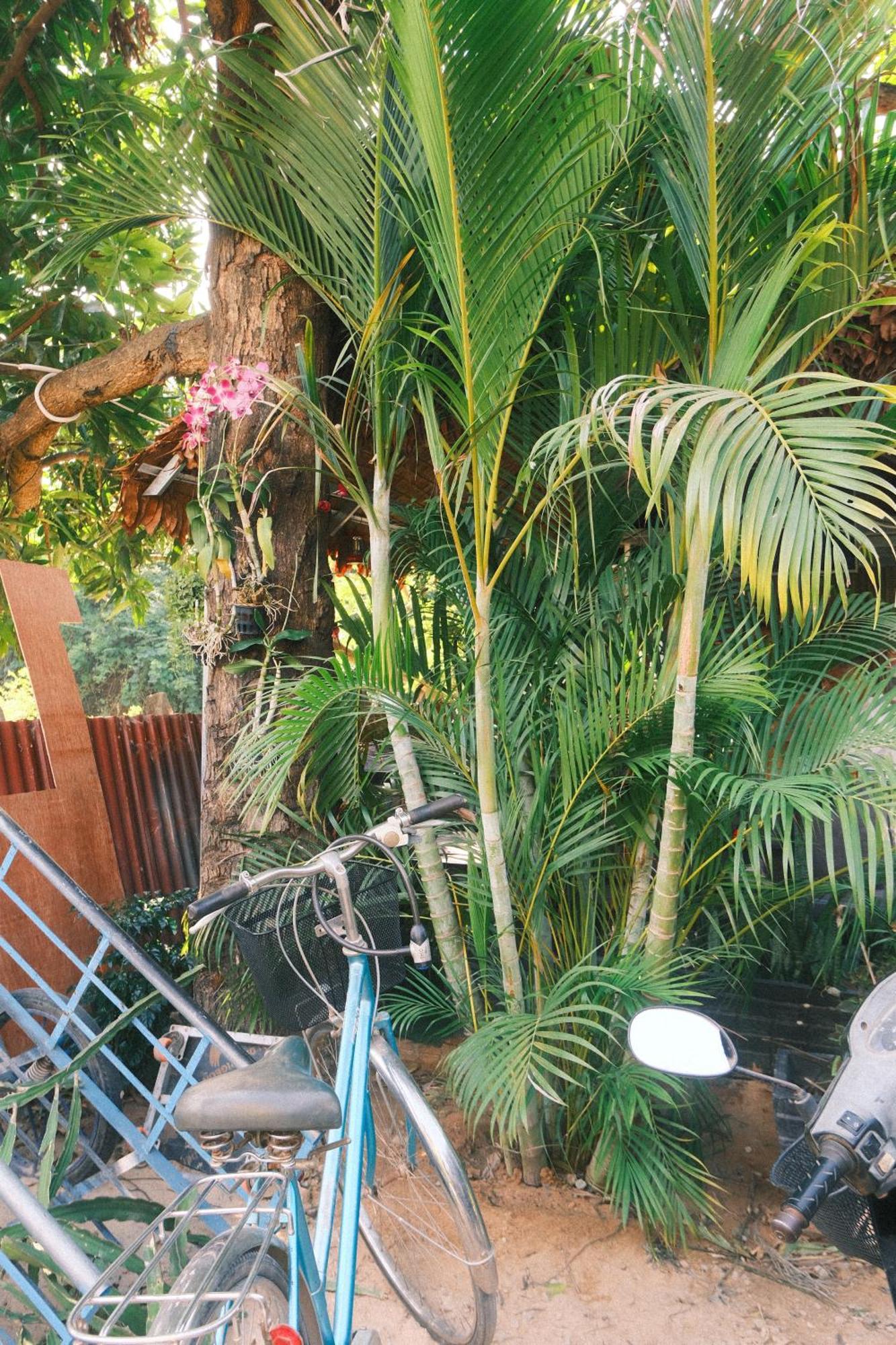 Siem Reap Homesteading II Εξωτερικό φωτογραφία
